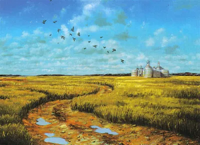 Plains 3