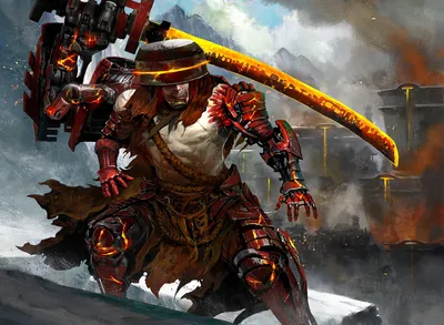 Reinforced Ronin 1