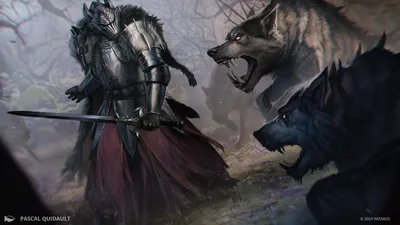 Witchstalker Frenzy