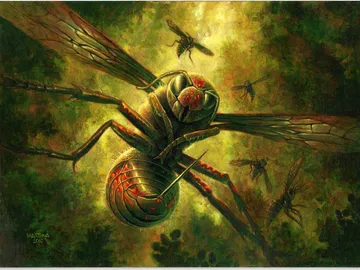 Hornet Queen