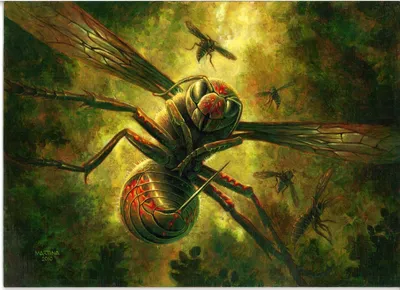 Hornet Queen