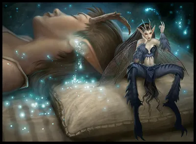 Dream Salvage