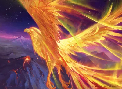 Aurora Phoenix