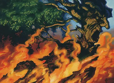 Consuming Bonfire