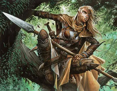 Frontier Guide
