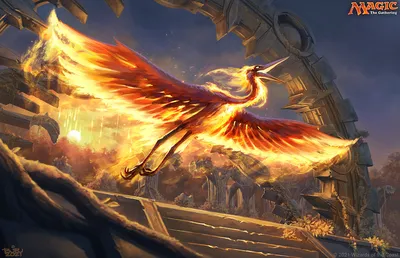 Sunstreak Phoenix 1