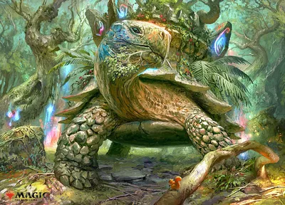 Blossoming Tortoise 1