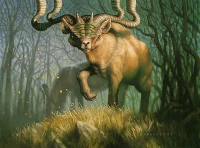 Grazing Gladehart