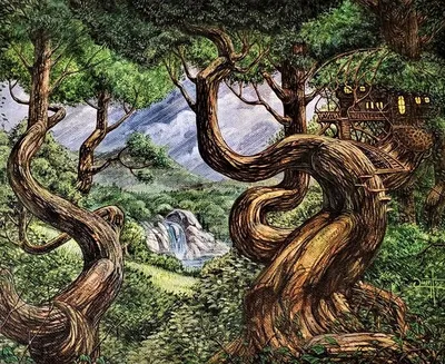 Forest 1