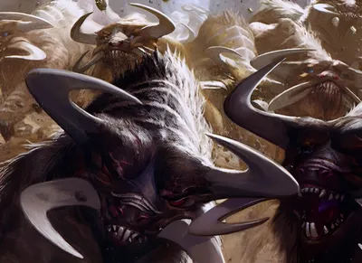 Herd Migration 1