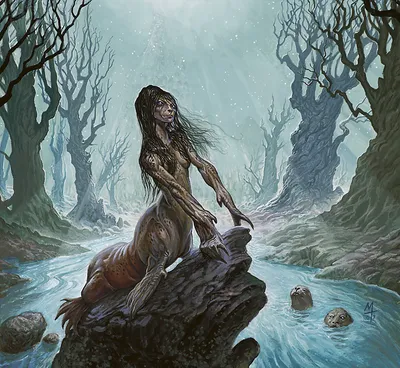 Wistful Selkie