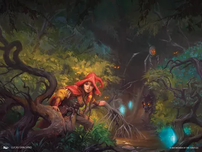Brave the Wilds