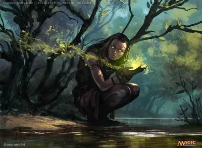 Primal Druid