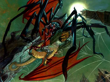 Goliath Spider