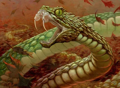 Ambush Viper