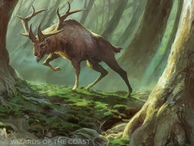 Somberwald Stag