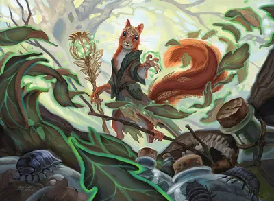 Curious Forager