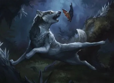 Bounding Wolf