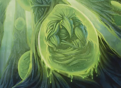 Incubation Sac