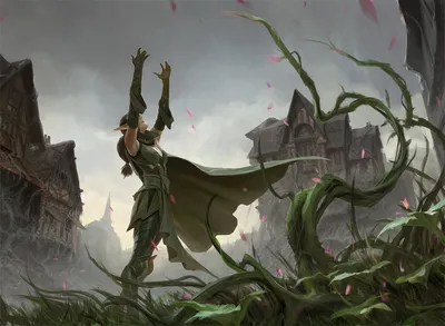 Splendid Reclamation