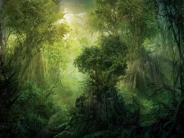 Llanowar Reborn