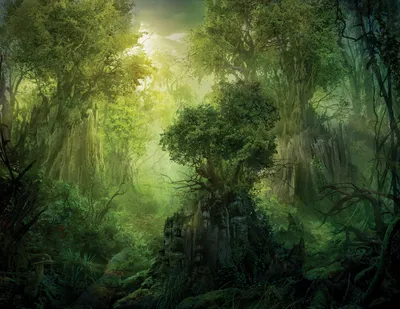 Llanowar Reborn