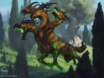 Hydra's Growth