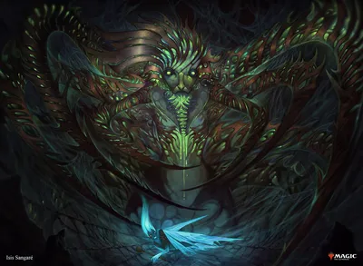 Arachnoid Adaptation