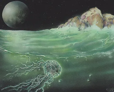 Tidal Influence
