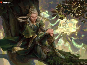 Lothlórien Lookout 1