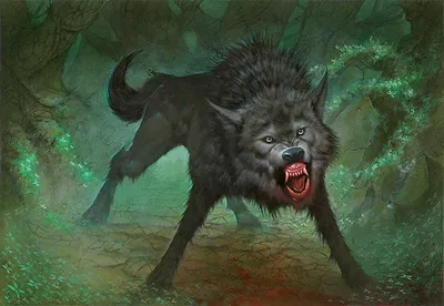 Darkthicket Wolf