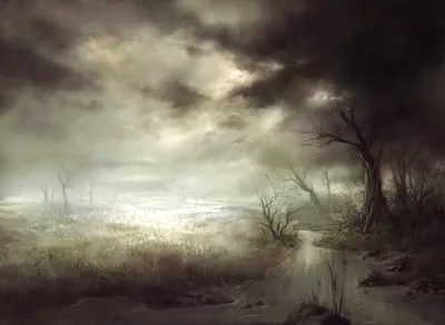 Fetid Heath