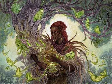 Circle of Dreams Druid