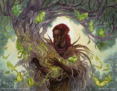 Circle of Dreams Druid