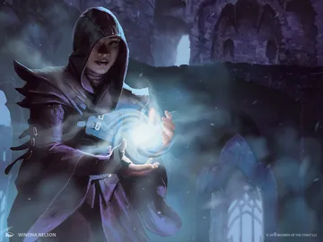 House Guildmage
