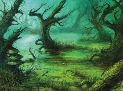 Flooded Grove