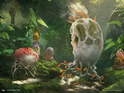 Saproling Migration