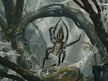 Mirkwood Spider 1