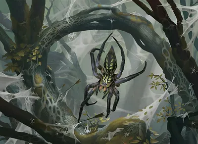 Mirkwood Spider 1