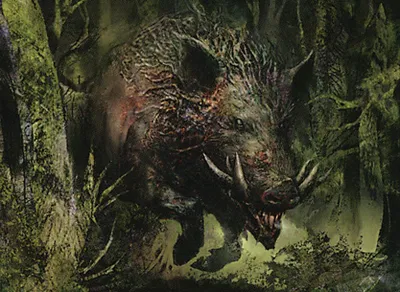 Festerhide Boar