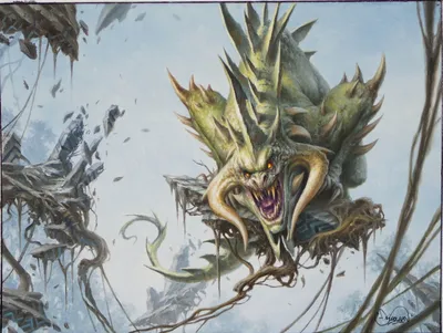 Canopy Baloth 1