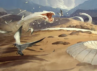 Sandwurm Convergence