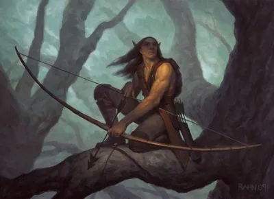 Tajuru Archer