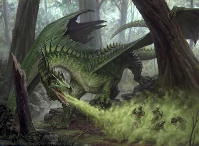 Green Dragon 1