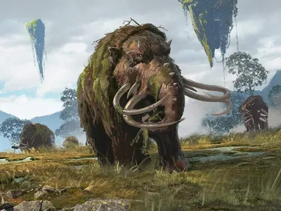 Kazandu Mammoth 1