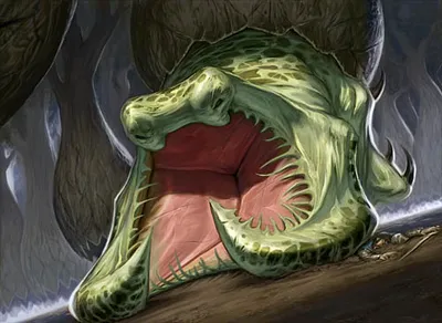 Timbermaw Larva