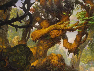 Faeburrow Elder 1