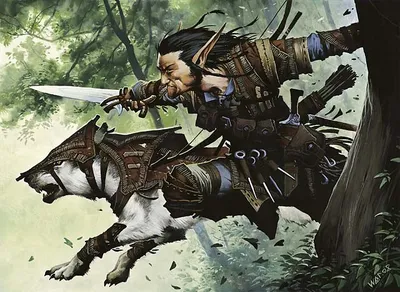 Turntimber Ranger