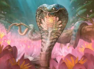 Lotus Cobra 1