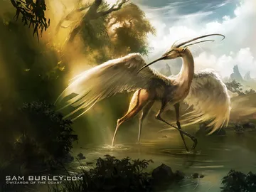 Horizon Chimera